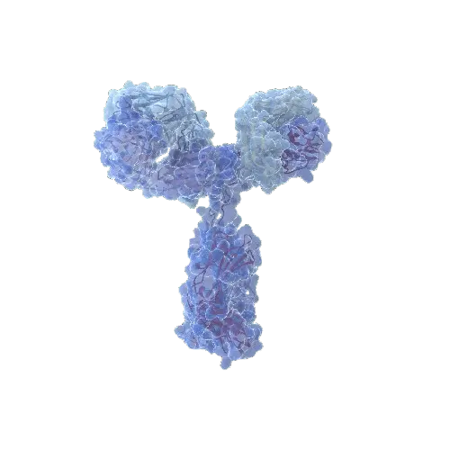 CTSD (Human) Matched Antibody Pair